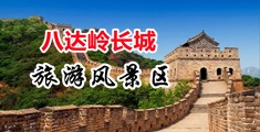 日逼网站免费观看中国北京-八达岭长城旅游风景区